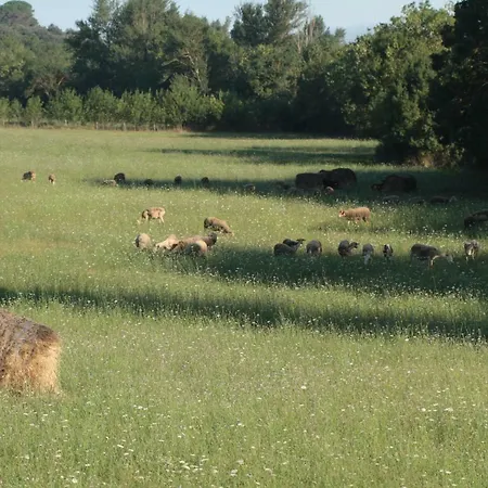 Canta Aoussel Ferienhaus Moussoulens